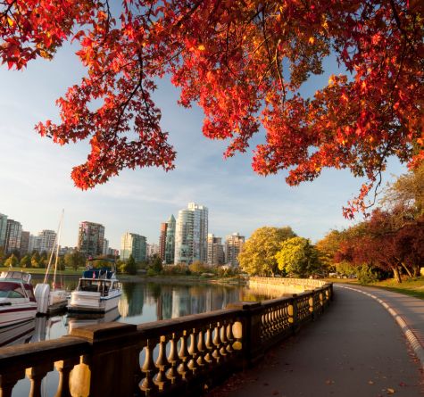 CRS Point Calculator